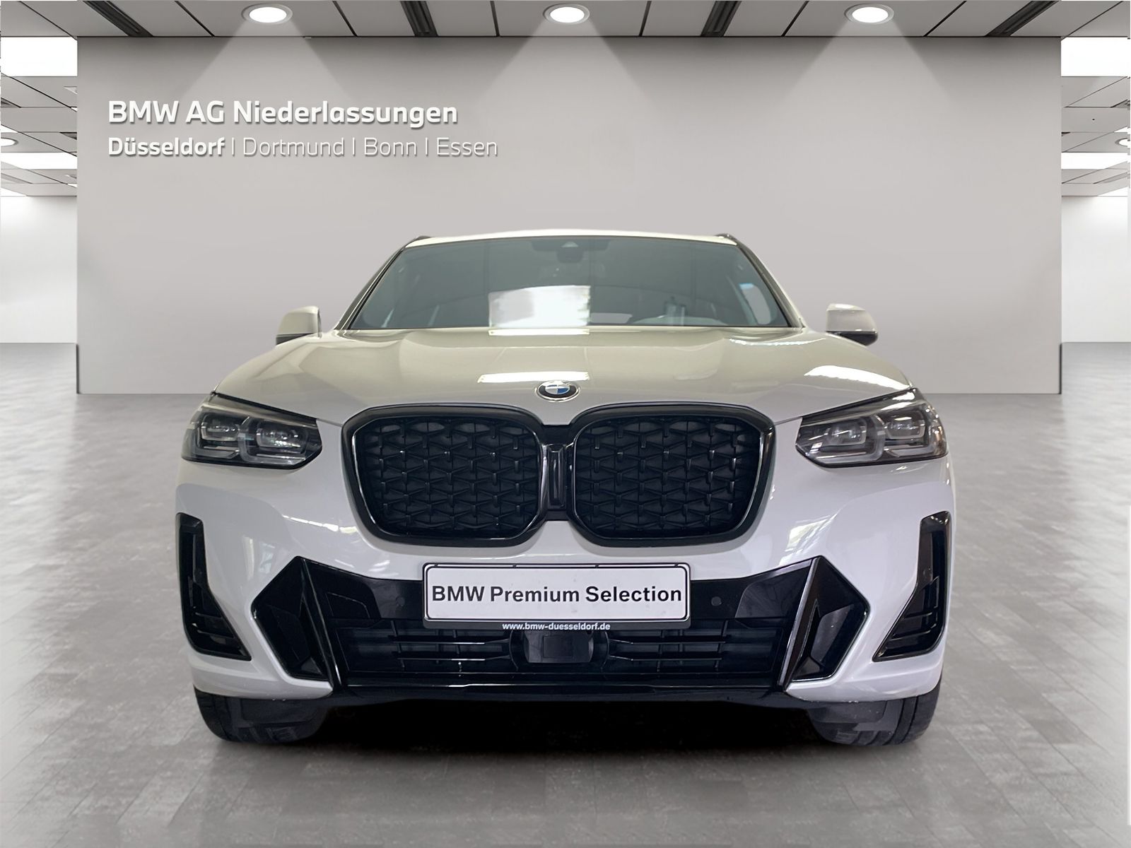 BMW X4 xDrive20d M Sport LiveCockpitProf Kamera LED foto 5