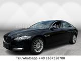 Jaguar XF 2.0d*LEDER*TÜV & SERVICE NEU* - Jaguar XF: 2.2
