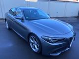 Alfa Romeo Giulia Super Q4 Klima PDC 2HD navi F1 Schaltung - Alfa Romeo Giulia: Super