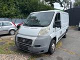 Fiat Ducato Kasten 28 100 *MOTORSTEUERGERÄT DEFEKT*