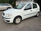 Fiat Punto 1.2 8V -  CNG / Erdgas  - Fiat Punto in Hannover