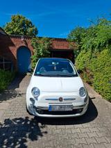 Fiat 500 1.2 8V Cult Cult - Fiat 500: Weiß