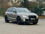 Audi SQ5 COMPETITION QUATTRO/PANO/TÜV NEU/KAMERA/SHZ/ - Audi SQ5 in Ludwigshafen