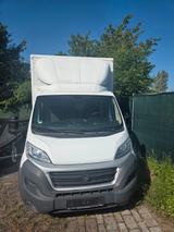 Fiat Ducato Koffer mit Hebebühne  - Fiat Ducato Koffer Gebrauchtwagen