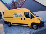 Fiat Ducato 250 Kühltransporter  - Kühltransporter
