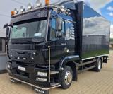 MAN TGM 15.290 - MAN Tgm