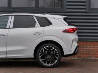 Cupra Terramar - Vorschau Bild 10