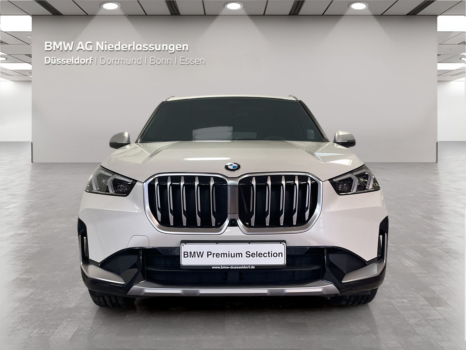 BMW X1 sDrive20i Driv.Assist Harman K Head-Up LED foto 5