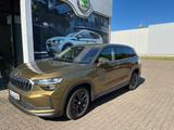 Skoda KODIAQ SELECTION 2.0 DSG 4X4 13"DISPLAY+MATRIX - Skoda Vorführfahrzeuge mit Diesel-Antrieb: Allradantrieb