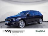Skoda Kamiq 1.0 TSI DSG Drive Navi - Skoda Kamiq Jahreswagen