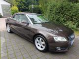 Audi A5 1.8 TFSI CABRIOLET - OPTIK + TECHNIK BESTENS