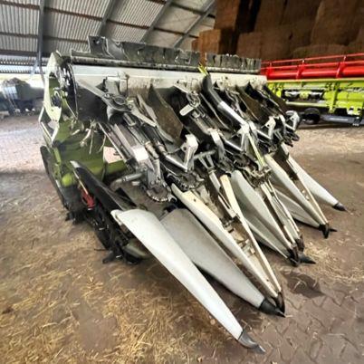 Claas CORIO 875 FC CONSPEED, Maispflücker, 8 reiher, 
