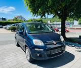 Fiat Panda Lounge - Fiat Gebrauchtwagen in Bielefeld