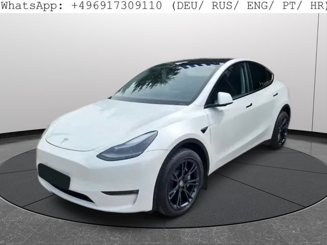 Tesla Model Y Long Range Dual AWD Leder Panorama #869