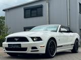 Ford Mustang V6 3,7 Sport/Xenon/Tempomat/MFL - Ford Mustang mit Benzin-Antrieb: Leder, Cabrio, 3.7
