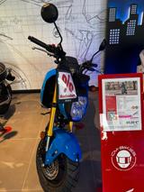 Honda MSX 125 GROM Tageszulassung - MOFA VON 81 BIS 125 CCM