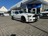 Ford Mustang3.7Ltr*SHELBY.LPG*Prem.pak.20zoll,Kamera - Ford Mustang: 2.3