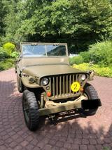 Jeep Willys - Jeep Willys mit Benzin-Antrieb