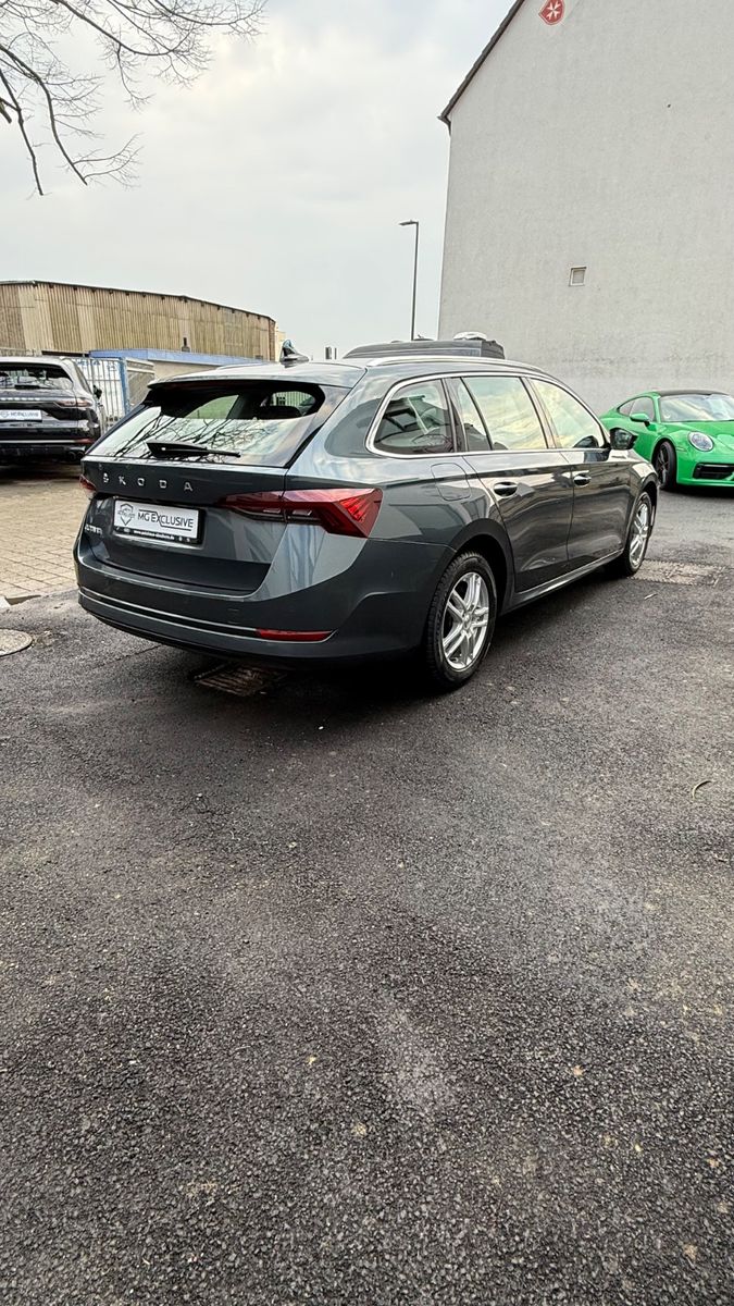 Fahrzeugabbildung SKODA Octavia Combi First Edition