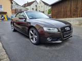 Audi A5 Cabrio 3.0TDI qu. S-tr B&O+ACC+LEDER+NAVI+XEN - Audi A5: Braun, Leder