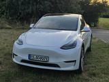 Tesla Model Y Long Range AWD 07/2022 MwSt. Top Zustand - Tesla Model Y in Stuttgart