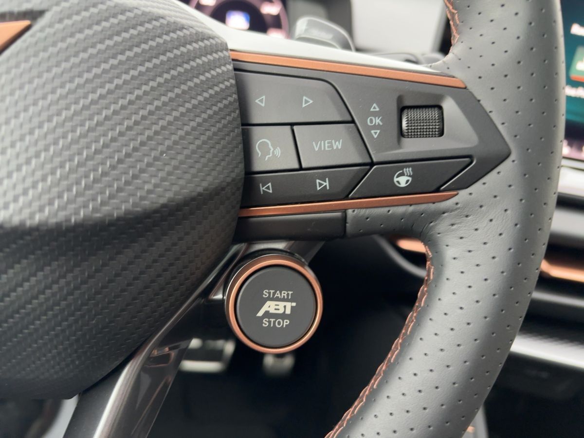 Cupra Terramar - Bild 21