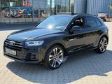 Audi SQ5 3.0 TDI BLACKLINE, PANORAMA, S-SITZE RAUTE - Audi SQ5 in Braunschweig