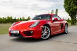 Porsche Cayman 981 PDK MFL PPF 98X ASK NEW TUV - gebrauchte Porsche Cayman aus dem Jahr 2014