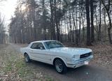 Ford Mustang 1965, 4,7 l V8 , Wimbledon-White - Ford Mustang aus 1965: Coupe