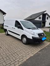 Fiat Scudo Transporter - Fiat: Transporter
