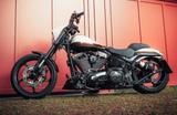 Harley-Davidson Fxse breakout cvo pro street mit jeckyl 5 hd