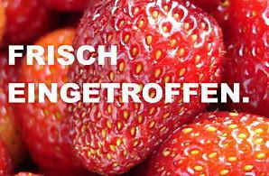 Toyota RAV4 Hybrid/Style Selection/ACC/LED/DAB/AHK/360°