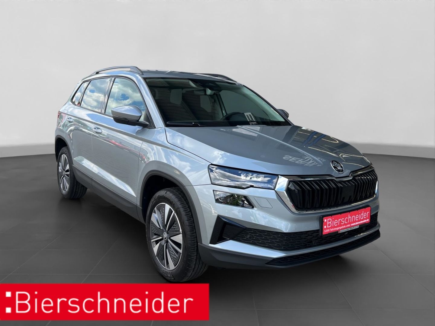 Skoda Karoq - Bild 9
