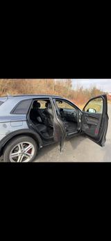Audi SQ5 TDI tiptronic quattro - - Audi SQ5 aus 2020