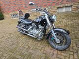 Yamaha Winterprojekt XV1600 VP08 Wildstar - YAMAHA CHOPPER XV 1600