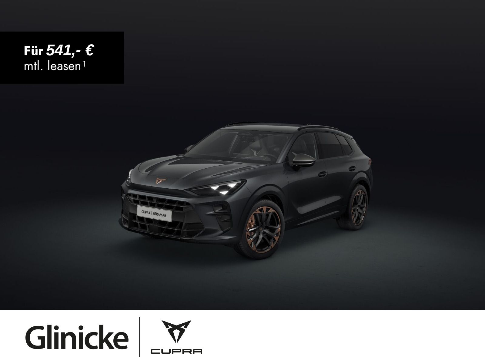Cupra Terramar - Bild 1