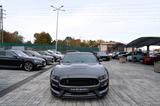 Ford Mustang GT 350 Shelby 5.2 V8, 392 KW - Ford Mustang: Shelby Gt350
