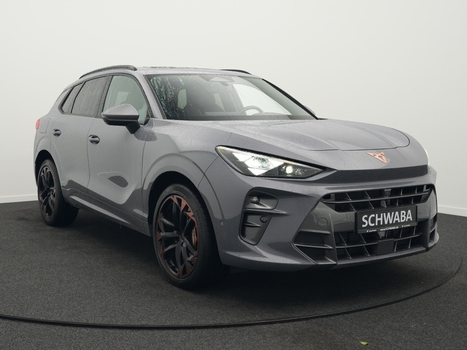 Cupra Terramar - Bild 26