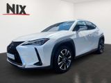 Lexus UX 250h Hybrid Style Edition KAMERA LED - Lexus UX: Style Edition