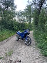 KTM Adventure 950 - Angebote