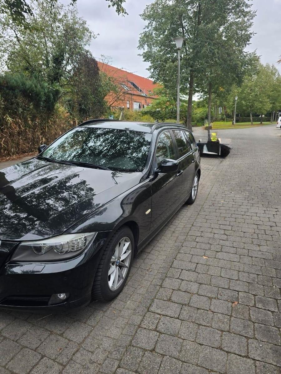 BMW 318 2010 — вигляд ззаду