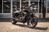Harley-Davidson XL883N Sportster Iron 883 - Racer Umbau 1200ccm - HARLEY-DAVIDSON 883 R