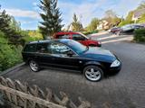 Volkswagen VW Passat 3bg b5 Variant 2.0 115ps Tüv 01/... - Volkswagen Passat: 3bg Variant