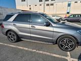 Mercedes-Benz Mercedes ML 250 4 Matik - : Mercedes Ml