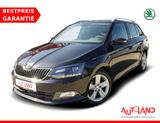 Skoda Fabia Combi 1.0 Active Tempomat Sitzheizung PDC - Skoda Fabia: 1.0