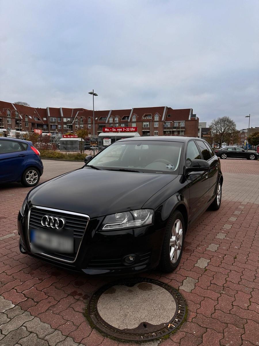 Audi A3 2009 — rear view