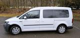 Volkswagen Caddy Maxi 1.0 TSI Trendline Klima AHK GRA - Volkswagen Caddy Maxi: Trendline