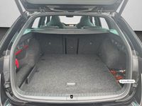 Skoda Octavia - Vorschau Bild 16