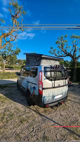 Dethleffs Der Dethleff Globevan Trail Two ist ein Fahrzeug - Offers matching your search criteria