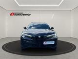 Alfa Romeo Stelvio Lusso Ti Q4 2.2 JTD AWD*KAMERA*SPORT*SHZ - Alfa Romeo Stelvio: Lusso